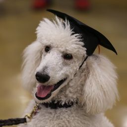 photograph by PeterW